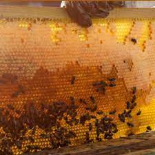 كيفية استخدام عسل الطاقة